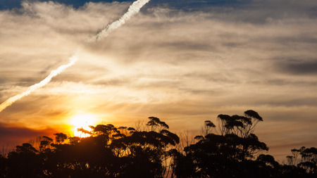 Beautiful sunset landscepe with Australian coastal vegetation silhouettes and cloudy skyの写真素材