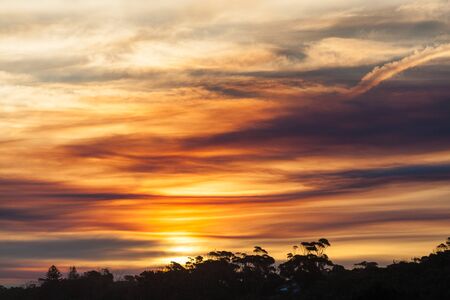 Beautiful wild sunset landscepe with Australian coastal vegetation silhouettes and cloudy skyの写真素材