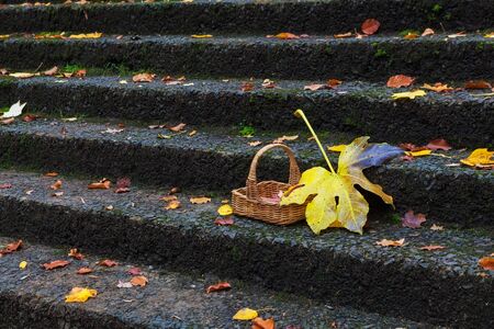Basket with red and yellow autumn leafs on stone stairsの写真素材