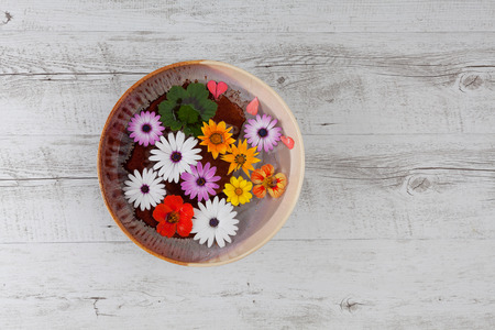 Colorful flowers floating in big ceramic bowl filled with water on white rustic wooden table. Top view with copy space.の写真素材