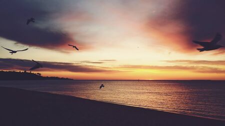 Beautiful vintage sunset on a beach with flying seagulls silhouettes. Romantic and tranquil sceneの写真素材