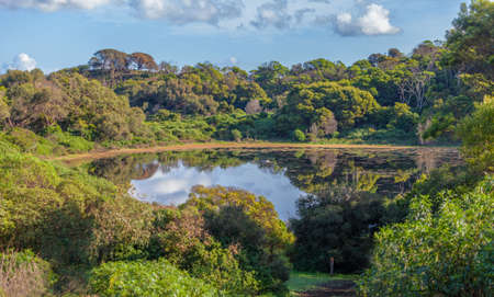 Tower Hill Reserve volcano crater lake in lush vegetation. Victoria, Australia.の写真素材