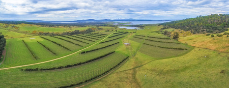 Aerial panorama of Devil's Corner winery. East coast, Apslawn, Tasmania, Australiaの写真素材