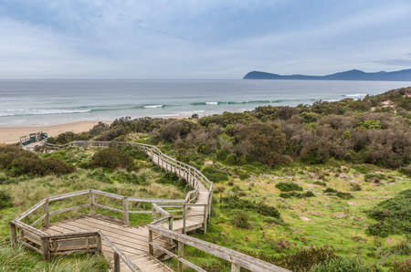 Boardwalk to the beach at The Neck lookout. Bruny Island, Tasmania, Australiaの写真素材