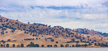 Australian countryside panorama. Yellow hills with scattered trees on shores of Hume Lake, on bright sunny day. Victoria, Australia.の写真素材