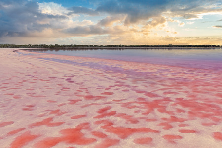 Loch Lel - pink lake at sunset, Victoria, Australiaの写真素材