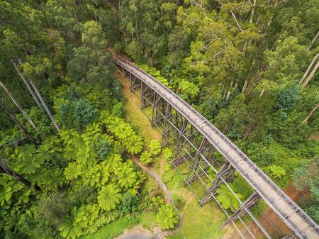 Vintage trestle bridge in Australian forest - aerial viewの写真素材