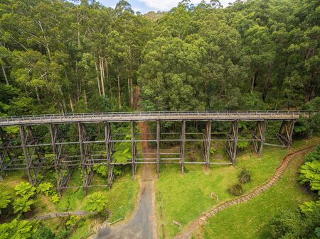 Aerial view of old trestle bridge among ferns and eucalyptuses in Victoria, Australiaの写真素材