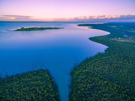 Aerial view of mangroves growing near the ocean coastline at dusk. Melbourne, Australiaの写真素材