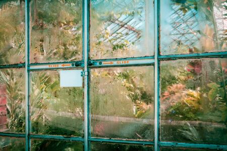 Misted up glass door into tropical glasshouse with copy spaceの写真素材