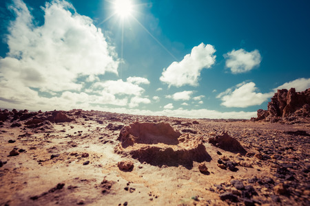Desert Landscape - barren land under hot shining sunの写真素材