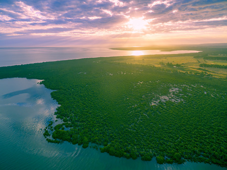 Aerial view of mangroves near ocean coastline at beautiful sunsetの写真素材
