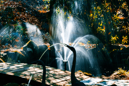 Fountain in a beautiful autumn gardenの写真素材