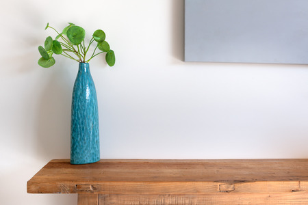 Chinese Money Plant in a blue vase on wooden side table against white wall with copy spaceの写真素材