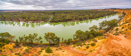 Orange sandstone cliffs and gum trees over Murray River in South Australiaの写真素材