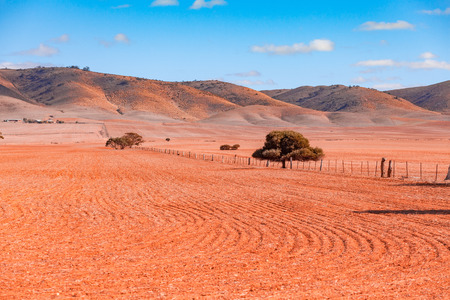 Rolling hills and plowed field in South Australiaの写真素材