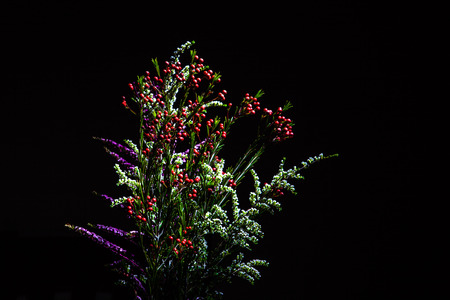 Bouquet of beautiful native Australian flowering plants on black background with copy space