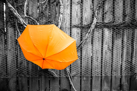Orange umbrella on wooden fence with copy spaceの写真素材