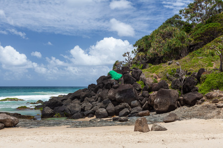 Large painted stone frog at Froggies beach in Coolangatta, QLD, Australiaの写真素材