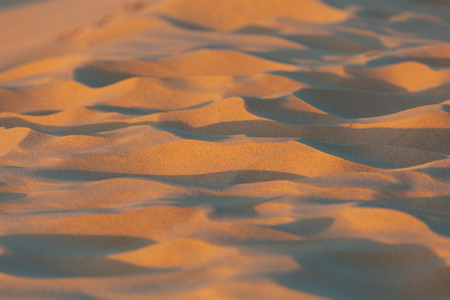 Extreme closeup of sand at sunset with shallow focusの写真素材