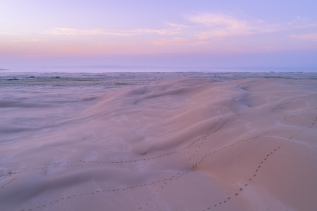 Footprints trails across sand dunes at sunrise. Anna Bay, New South Wales, Australiaの写真素材
