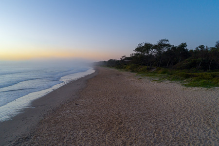 Empty ocean beach and coastal vegetation and duskの写真素材