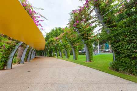 Walking path among beautiful greenery at South Bank parklands.の写真素材