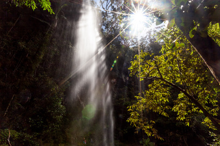 Rays of light shining on waterfall with lens flare in a forestの写真素材