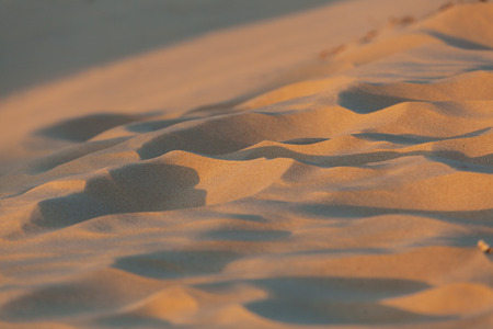 Closeup of beach sand at sunset with shallow focusの写真素材