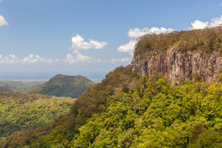 Beautiful canyon in Springbrook National Park, Queensland, Australia