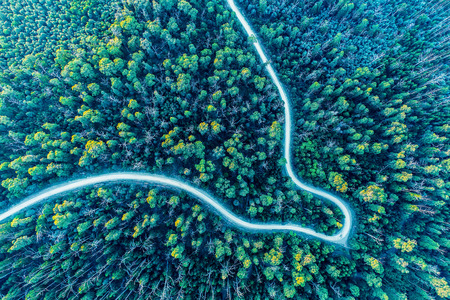 Looking down at road bend winding through forest - aerial viewの写真素材