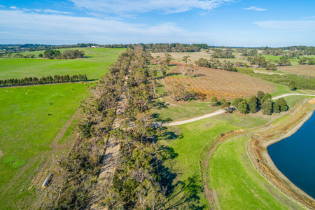Aerial view of scenic countryside on Mornington Peninsula, Australiaの写真素材