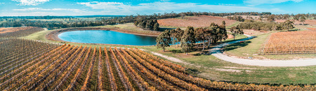 Vineyard and pond on bright sunny day in fall. Mornington Peninsula, Australiaの写真素材