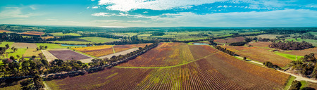 Ultra wide aerial panorama of huge vineyard and rural landscape of Mornington Peninsula, Victoria, Australiaの写真素材