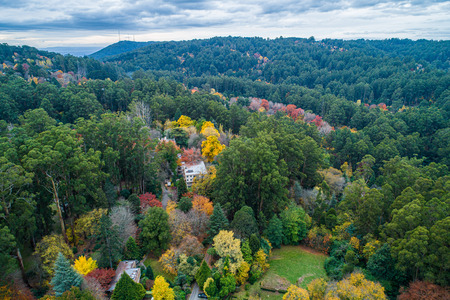 Houses among lush foliage in autumn in Australia. Sherbrooke, Victoria, Australiaの写真素材