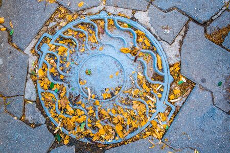 Looking down at manhole lid with yellow autumn leafsの写真素材