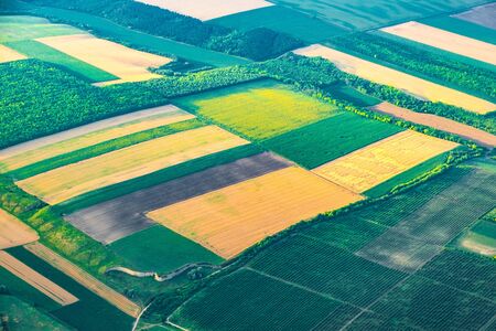 Aerial view of fields and cropsの写真素材