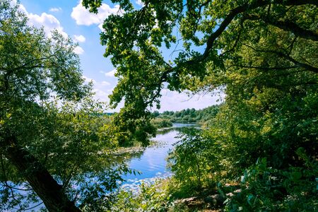 Scenic river Sozh among beautiful green trees on bright summer day in Belarusの写真素材