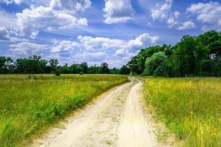 Dirt road winding through wild grass and trees in Belarus countrysideの写真素材