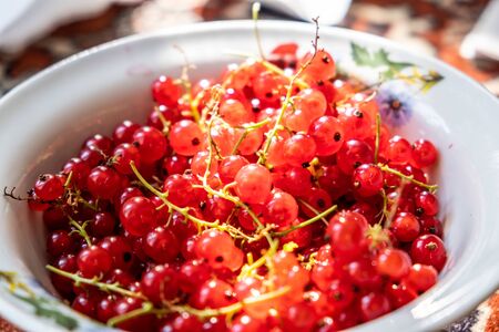 Redcurrant in a bowl extreme closeup with shallow depth of fieldの写真素材
