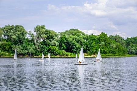 Sailboats with white sails in a riverの写真素材