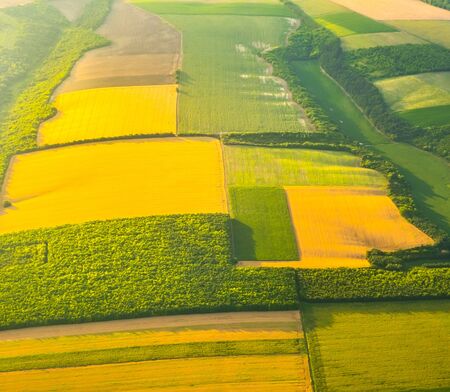 Aerial view of yellow and green agricultural fields at sunset in hazy air