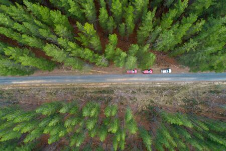 Top down view of pine trees and three parked cars on rural road in Australiaの写真素材