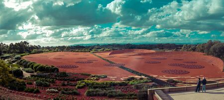 Melbourne, Australia Jul 21, 2019:Panoramic landscape of tourists enjoying the Arid Garden display at Royal Botanic Gardens in Cranbourneの写真素材