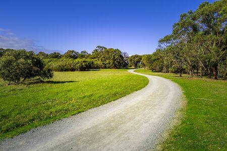 Gravel road winding among grass and trees in Cranbourne, Victoria, Australiaの写真素材