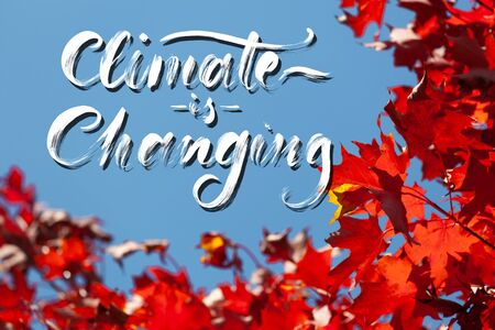 Climate is Changing - cursive brush lettering on blue sky and red maple leafsの写真素材