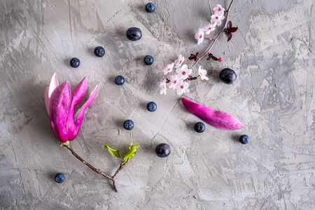 Urban spring concept - blooming magnolia and plum cherry flowers with blueberries and grapes on concreteの写真素材