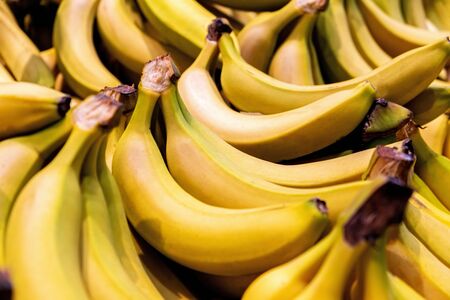 Pile of bright yellow bananas closeup with shallow focusの写真素材