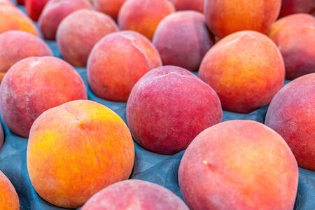 Rows of vivid red and orange peaches with shallow focusの写真素材