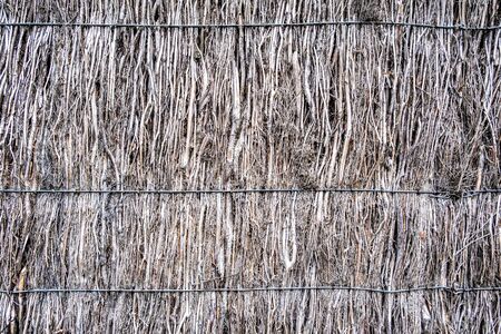 Brushwood fence texture detailed closeup